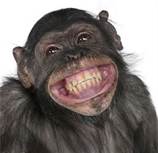 monkey smile for good yum job