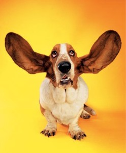 Dog-Ears